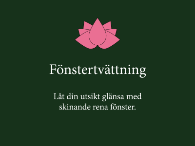 Fönstertvättning